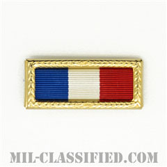 Philippine Presidential Unit Citation [リボン（略綬・略章・Ribbon）/ラージフレーム付/陸軍用部隊表彰（Unit Award）]画像