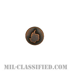 ウィンターオーバー (ブロンズ)（Disk, Wintered Over, Bronze）[リボン用デバイス（Attachment Device）]の画像