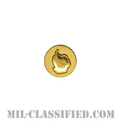 ウィンターオーバー (ゴールド)（Disk, Wintered Over, Gold）[リボン用デバイス（Attachment Device）]の画像