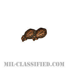 オークリーフクラスター2 (ブロンズ)（Oak Leaf Cluster, 2, Bronze）[リボン用デバイス（Attachment Device）]画像