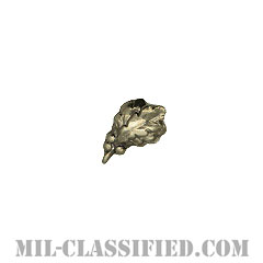 ラージオークリーフクラスター1 (シルバー)（Large Oak Leaf Cluster 13/32", 1, Silver）[リボン用デバイス（Attachment Device）]の画像