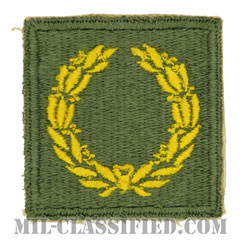 部隊勲功章（Meritorious Service Unit Plaque）[カラー/カットエッジ/パッチ]の画像
