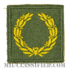 部隊勲功章（Meritorious Service Unit Plaque）[カラー/カットエッジ/パッチ]画像