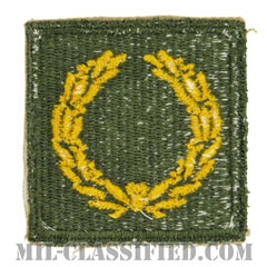 部隊勲功章（Meritorious Service Unit Plaque）[カラー/カットエッジ/パッチ]画像