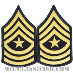 上級曹長（Sergeant Major (SGM)）[カラー（ブルー）/階級章（女性用）/1996-/パッチ/ペア（2枚1組）]画像