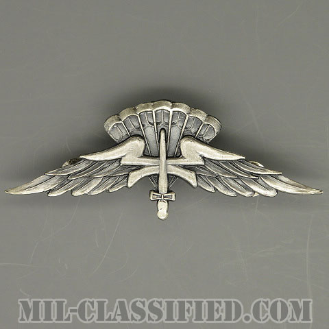 自由降下章（ベーシック）試作品（Freefall Parachutist Badge, HALO, Basic Prototype）[カラー/1980s/燻し銀/バッジ/1点物]の画像