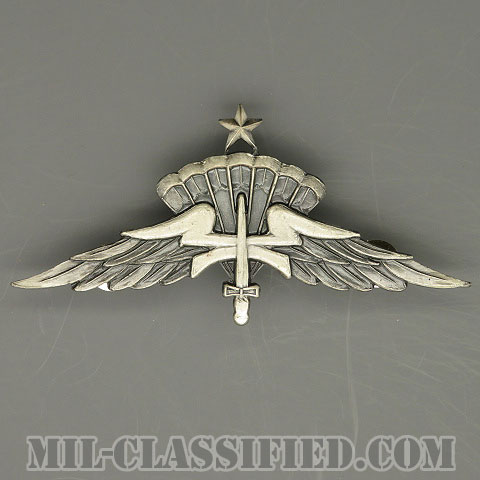 自由降下章（シニア）試作品（Freefall Parachutist Badge, HALO, Senior, Prototype）[カラー/1980s/燻し銀/バッジ/1点物]の画像