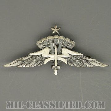 自由降下章（シニア）試作品（Freefall Parachutist Badge, HALO, Senior, Prototype）[カラー/1980s/燻し銀/バッジ/1点物]画像