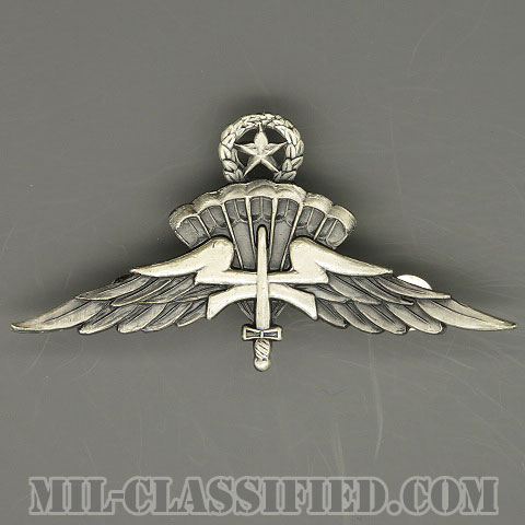 自由降下章（マスター）試作品（Freefall Parachutist Badge, HALO, Jumpmaster, Prototype）[カラー/1980s/燻し銀/バッジ/1点物]の画像