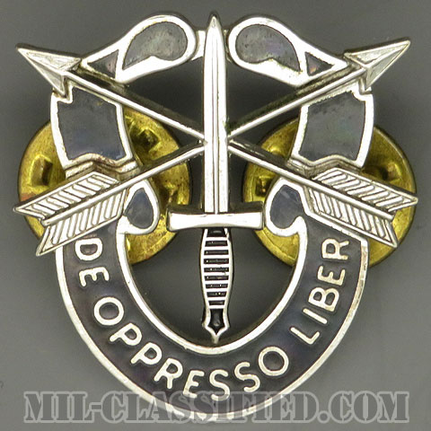 特殊部隊群（Special Forces Group）[カラー/クレスト（Crest・DUI・DI）バッジ/1960ｓ/中古1点物]の画像