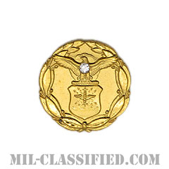 Exceptional Civilian Service Award, Air Force [ラペルボタン（ラペルピン）/バッジ（ピンバック）]の画像