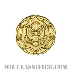 Exceptional Civilian Service Award, Army [ラペルボタン（ラペルピン）/バッジ（クラッチバック）]の画像