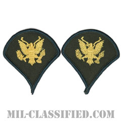 特技兵（Specialist (SPC)）[カラー（グリーン）/階級章（女性用）/1996-/パッチ/ペア（2枚1組）]の画像