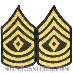 先任曹長（First Sergeant (1SG)）[カラー（グリーン）/階級章（女性用）/1996-/パッチ/ペア（2枚1組）]画像