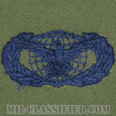 部隊防護章 (ベーシック)（Force Protection Badge, Basic）[サブデュード/ブルー刺繍/パッチ]の画像