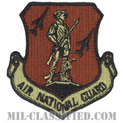 空軍州兵（Air National Guard Command）[OCP/カットエッジ/ベルクロ付パッチ]の画像