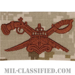 Special Warfare Combatant-craft Crewman (SWCC), Basic[NWU Type2（AOR1）/生地テープパッチ]の画像