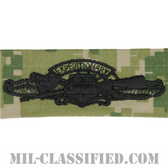 Enlisted Expeditionary Warfare Specialist[NWU Type3（AOR2）/生地テープパッチ]の画像