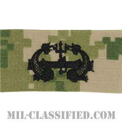 Deep Submergence[NWU Type3（AOR2）/生地テープパッチ]の画像