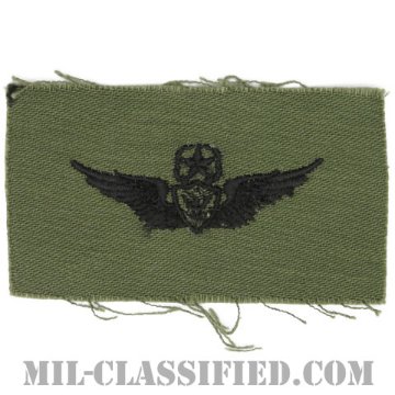 航空機搭乗員章 (マスター・エアクルー)（Army Aviation Badge (Aircrew), Master）[サブデュード/1960s/コットン100％/パッチ]画像