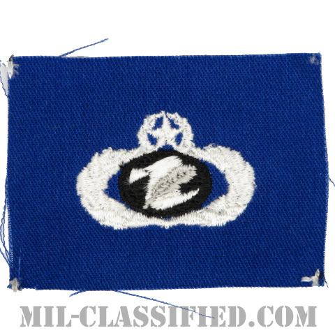 情報管理章 (マスター)（Information Management/Administration Badge, Master）[カラー/空軍ブルー生地/パッチ]の画像