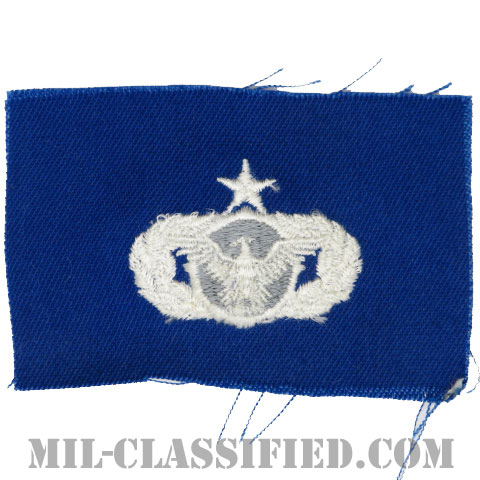 警備機能章 (シニア)（Security Police Functional Badge, Senior）[カラー/空軍ブルー生地/パッチ]の画像