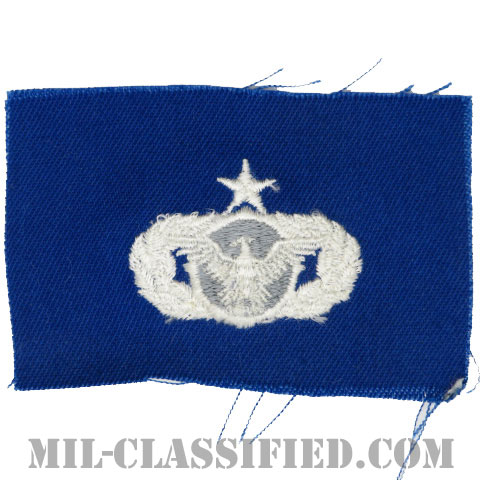 警備機能章 (シニア)（Security Police Functional Badge, Senior）[カラー/空軍ブルー生地/パッチ]画像