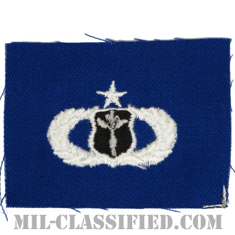 気象章 (シニア)（Meteorologist Badge, Senior）[カラー/空軍ブルー生地/パッチ]の画像