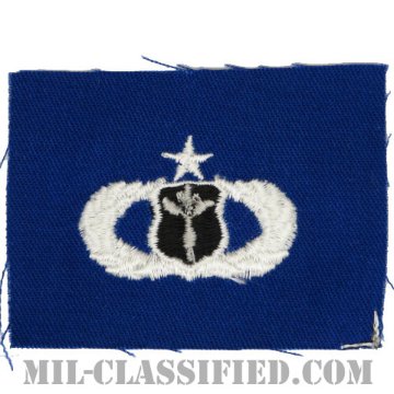 気象章 (シニア)（Meteorologist Badge, Senior）[カラー/空軍ブルー生地/パッチ]画像