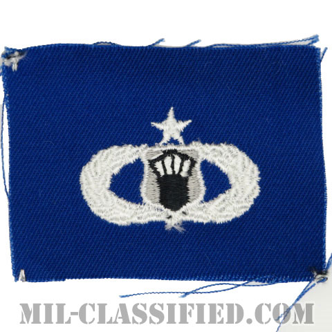 航空交通管制章 (シニア)（Air Traffic Control Badge, Senior）[カラー/空軍ブルー生地/パッチ]の画像