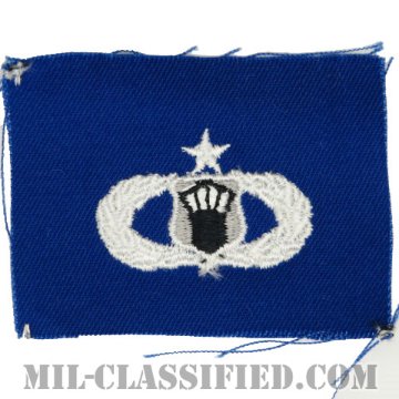 航空交通管制章 (シニア)（Air Traffic Control Badge, Senior）[カラー/空軍ブルー生地/パッチ]の画像