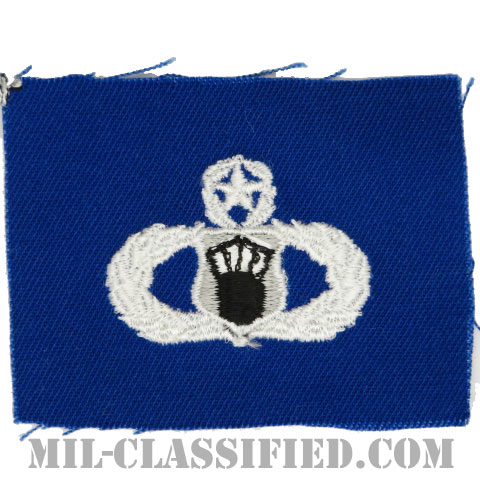 航空交通管制章 (マスター)（Air Traffic Control Badge, Master）[カラー/空軍ブルー生地/パッチ]の画像