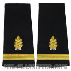 少尉 歯科医科（Ensign (ENS), Dental Corps）[ショルダー階級章/ペア（2枚1組）]の画像