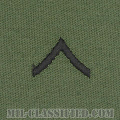 一等兵（Private Second Class (PV2)）[サブデュード/階級章/パッチ/ペア（2枚1組）]の画像