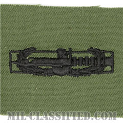 戦闘行動章 (ファースト) 試作品（Combat Action Badge (CAB), First Award, Prototype）[サブデュード/パッチ]の画像