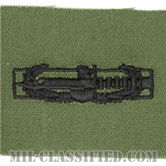 戦闘行動章 (ファースト) 試作品（Combat Action Badge (CAB), First Award, Prototype）[サブデュード/パッチ]画像