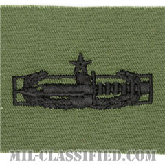 戦闘行動章 (セカンド) 試作品（Combat Action Badge (CAB), Second Award, Prototype）[サブデュード/パッチ]の画像