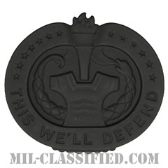 教育係軍曹識別章（Drill Sergeant Identification Badge）[サブデュード（ブラックメタル）/バッジ]画像
