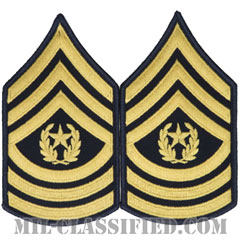 最先任上級曹長（Command Sergeant Major (CSM)）[カラー（ブルー）/メロウエッジ/階級章（男性用）/パッチ/ペア（2枚1組）]画像