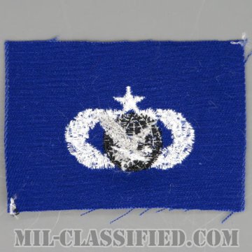 補給・燃料章 (シニア)（Supply and Fuels Badge, Senior）[カラー/空軍ブルー生地/パッチ]画像