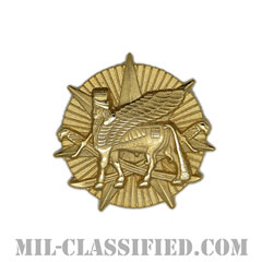 イラク多国籍軍（Multi-National Force - Iraq (MNF-I)）[カラー/クレスト（Crest・DUI・DI）バッジ]の画像