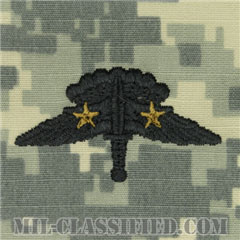 戦闘自由降下章 (ベーシック) 降下2回（Combat Military Freefall Parachutist, Basic, Two Jump）[UCP（ACU）/パッチ]の画像