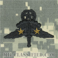 戦闘自由降下章 (マスター) 降下2回（Combat Military Freefall Parachutist, Jumpmaster, Two Jump）[UCP（ACU）/パッチ]の画像