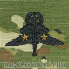 戦闘自由降下章 (マスター) 降下2回（Combat Military Freefall Parachutist, HALO, Jumpmaster, Two Jump）[OCP/パッチ]画像
