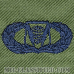 指揮統制章 (ベーシック)（Command and Control Badge, Basic）[サブデュード/ブルー刺繍/パッチ]の画像