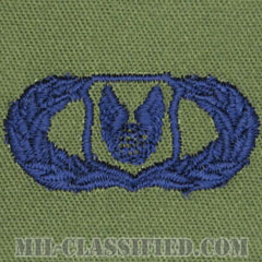 作戦支援章 (ベーシック)（Operations Support Badge, Basic）[サブデュード/ブルー刺繍/パッチ]の画像