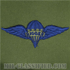 パラシュート整備士 (パラシュートリガー)（Parachute Rigger Badge）[サブデュード/ブルー刺繍/パッチ]の画像