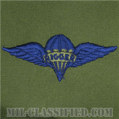 パラシュート整備士 (パラシュートリガー)（Parachute Rigger Badge）[サブデュード/ブルー刺繍/パッチ]画像