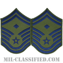 先任上級曹長（First Sergeant (E-8)）[サブデュード/メロウエッジ/空軍階級章（1991-）/Large（男性用）/パッチ/ペア（2枚1組）]画像