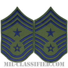 部隊先任最上級曹長（Command Chief Master Sergeant）[サブデュード/メロウエッジ/空軍階級章（1991-）/Large（男性用）/パッチ/ペア（2枚1組）]画像